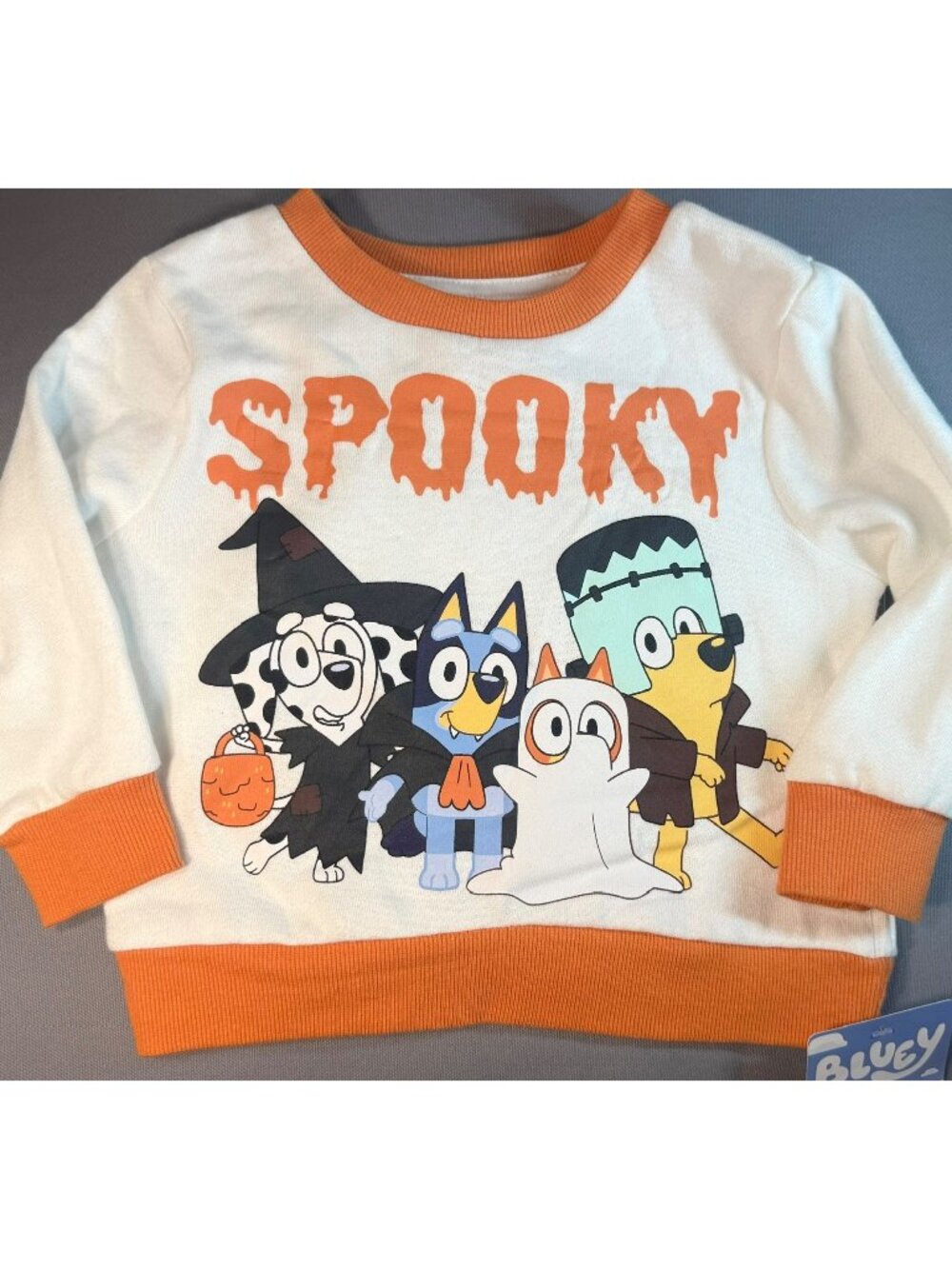 Bluey 2T NWT Halloween sweatshirt dogs costumes ghost witch monster Spooky